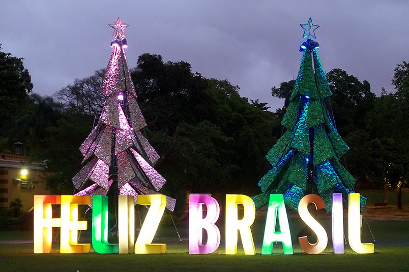 Christmas trees created and developed with recyclable materials were 12 meters high.