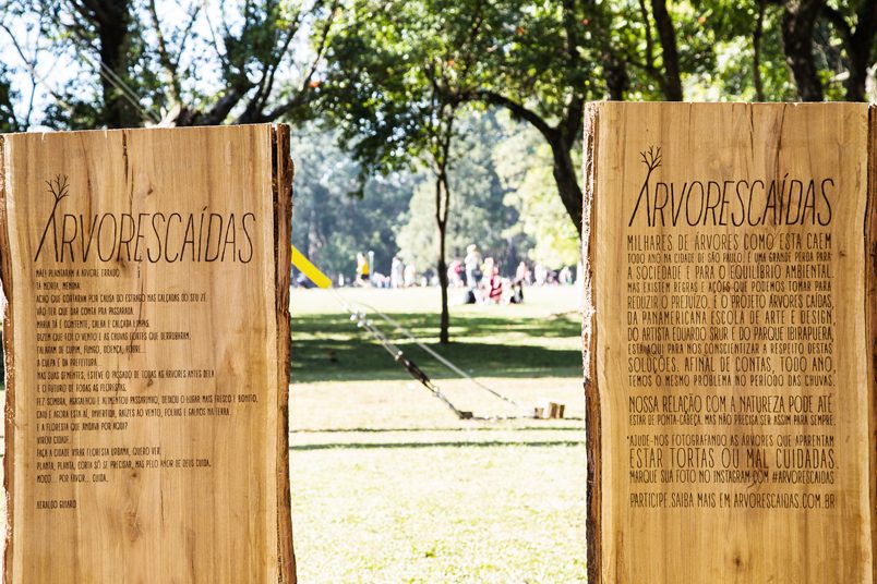 Intervenção no parque Ibirapuera, em São Paulo, com uma árvore monumental plantada de ponta-cabeça.
