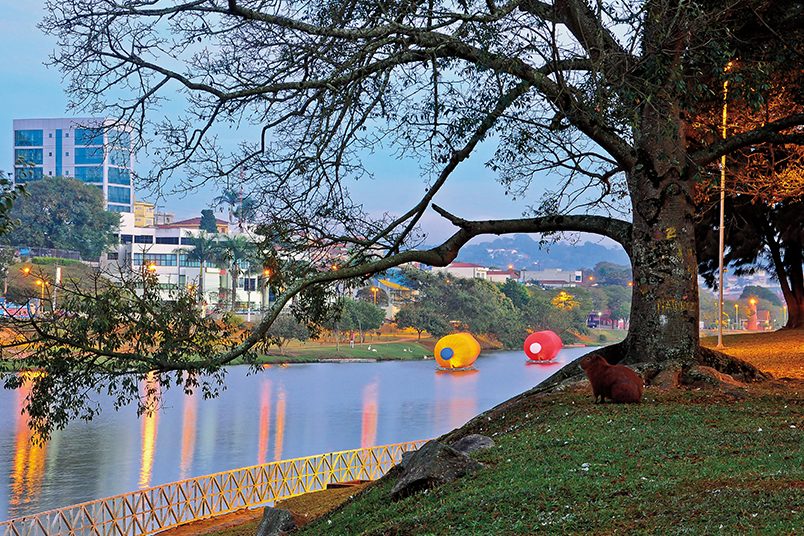 Most famous artistic intervention of the artist Eduardo Srur has the support and production of ATTAC