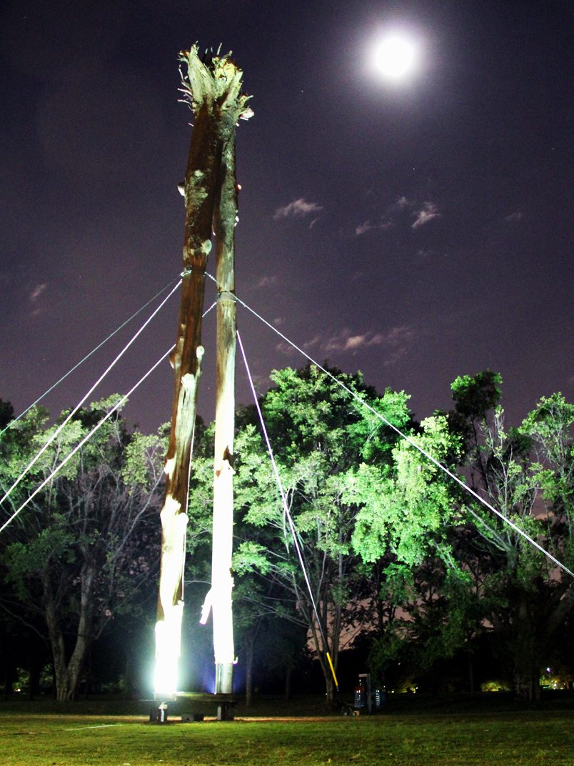 Intervenção no parque Ibirapuera, em São Paulo, com uma árvore monumental plantada de ponta-cabeça.