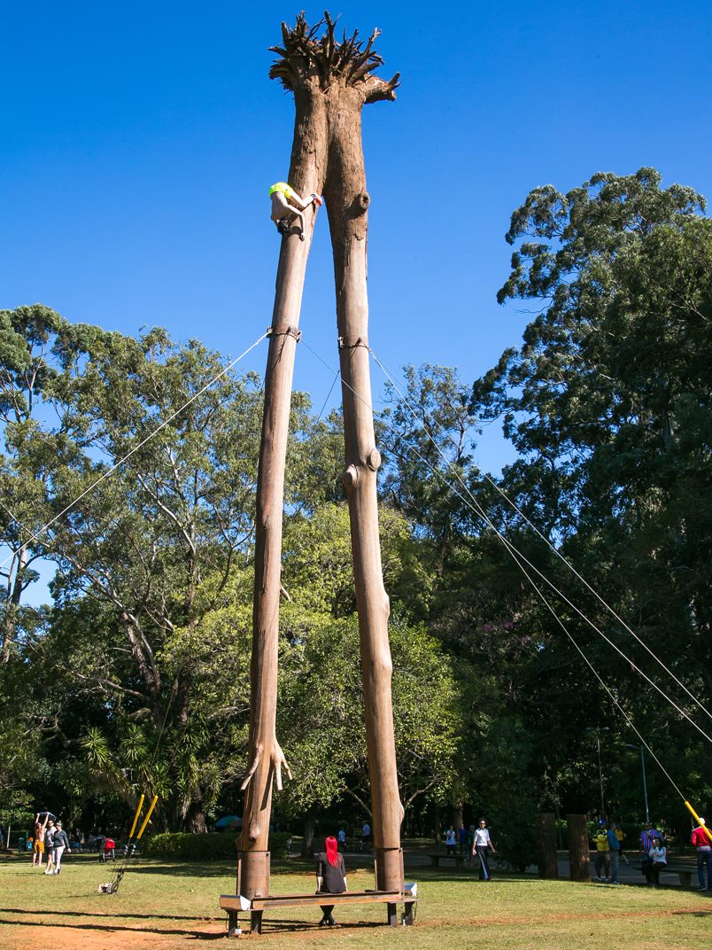 Intervenção no parque Ibirapuera, em São Paulo, com uma árvore monumental plantada de ponta-cabeça.